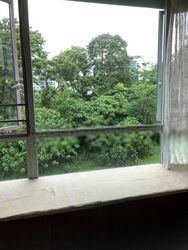 The Raintree (D21), Condominium #399551031